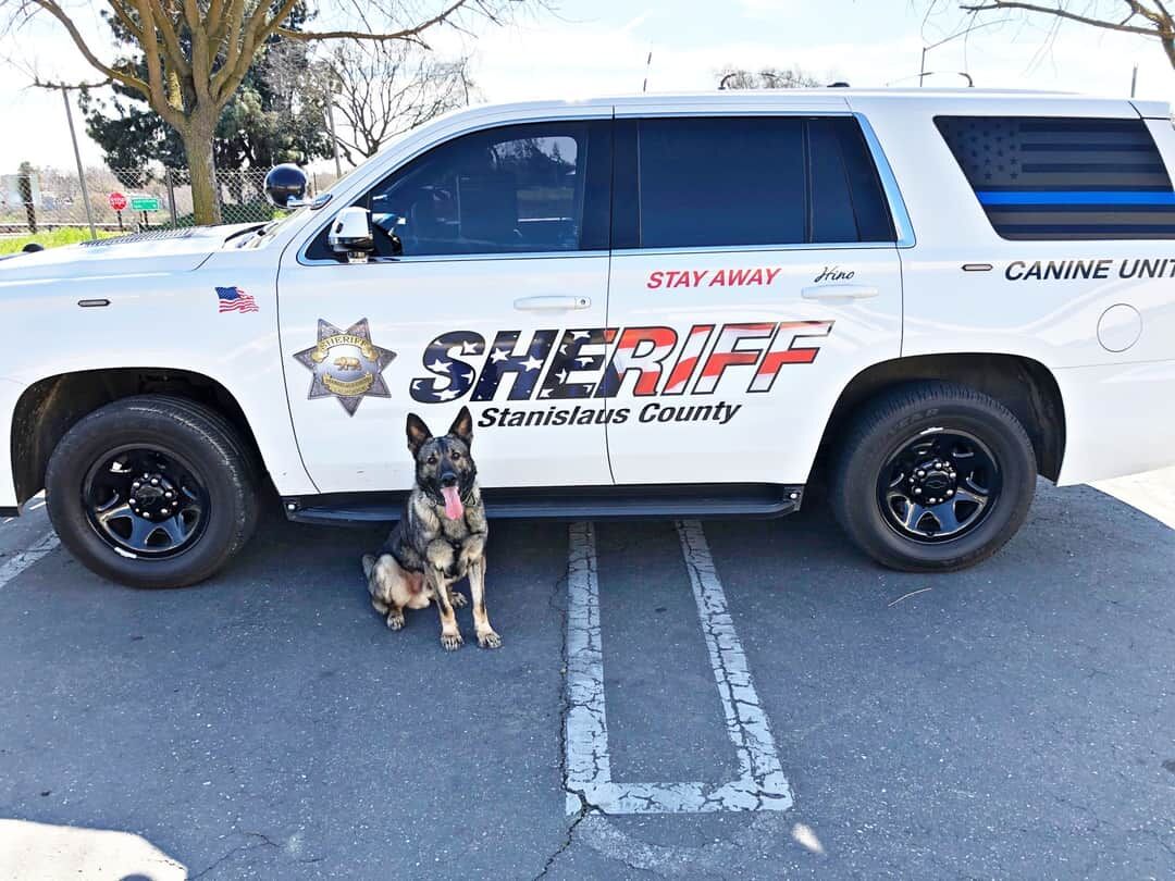 K-9 Hino